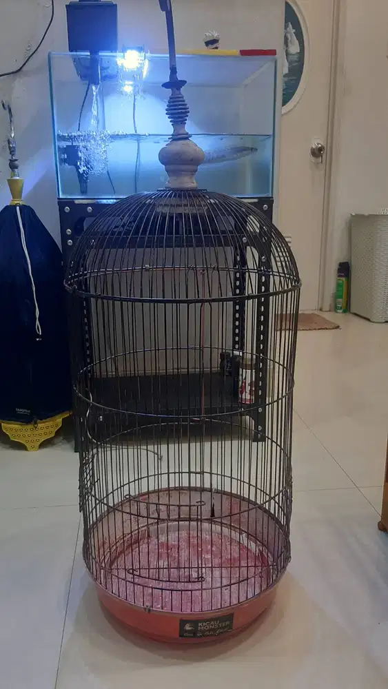 Jual kandang love bird
