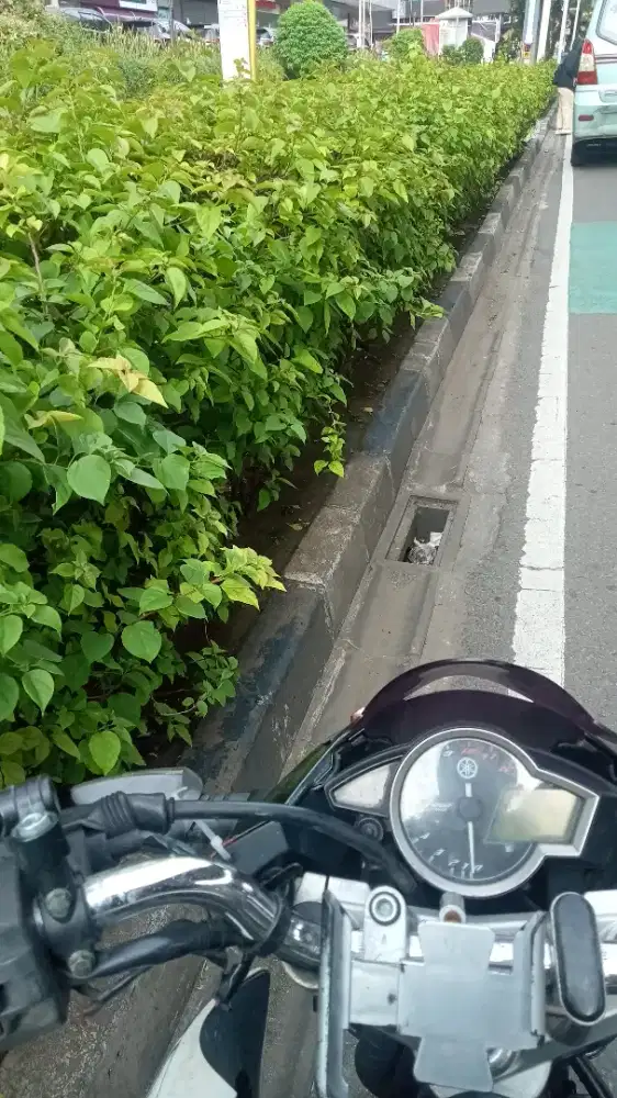 Cari kerjaan barista laki2 dan kitchen perempuan