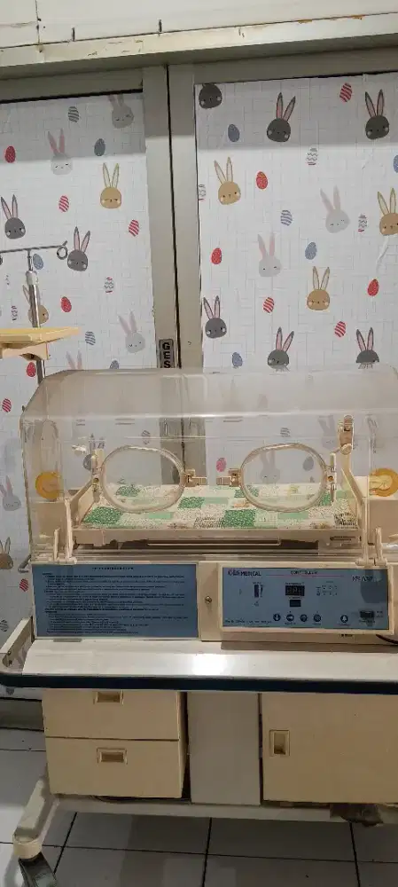 Incubator GEA YP 100