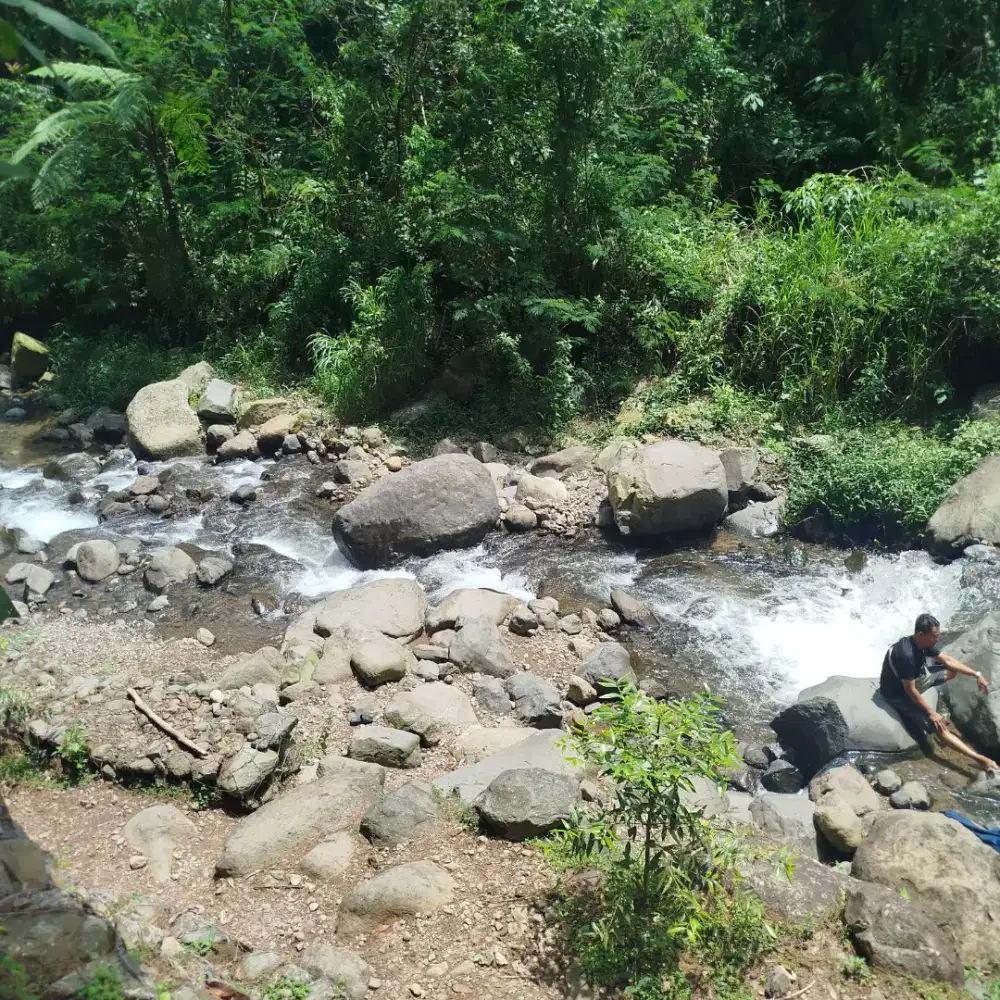 Dicari pembantu rumah tangga, wanita, menginap, 18-40 th,
