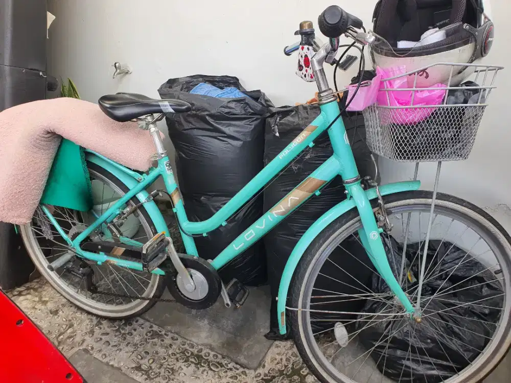 Sepeda polygon model keranjang