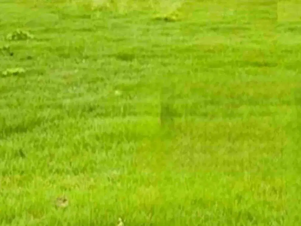 Lahan Siap Bangun Graha Family bagus