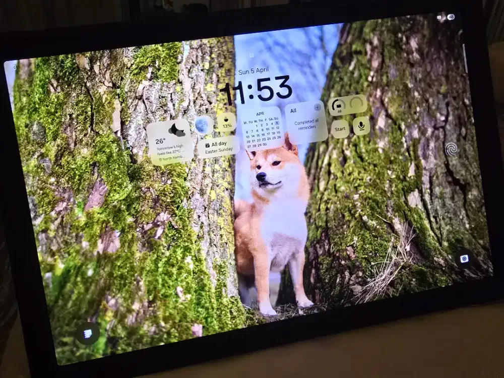 Samsung Tab S8+ 5G Tab S8 PLUS 256