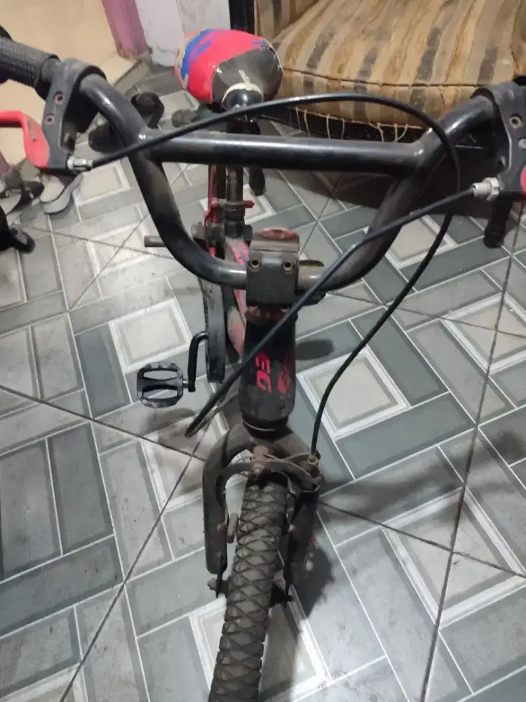 Sepeda Anak BMX Evergreen