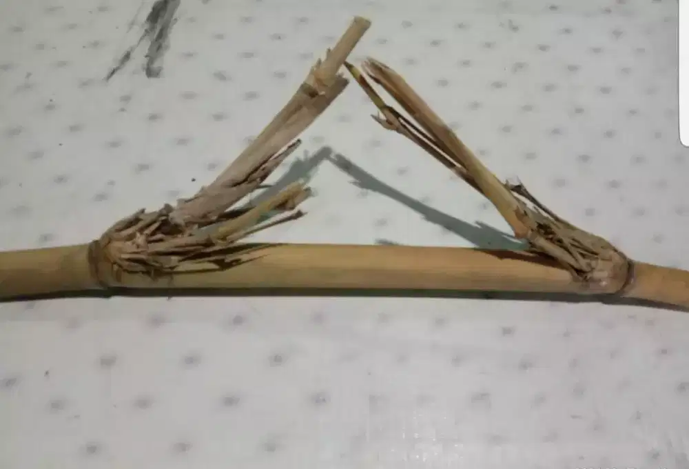 Bambu Pe-tuk Surabaya dibutuhkan