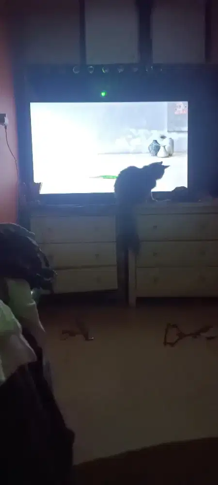 Tv 55 ins merk hansen