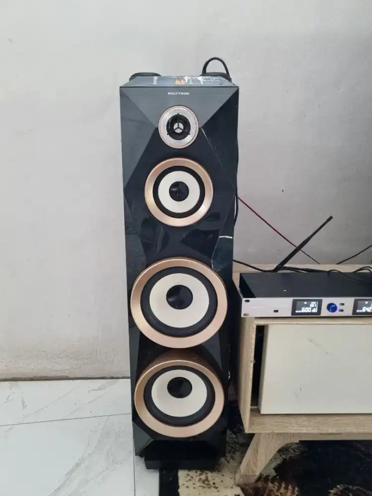 Speaker Polytron Active PAS8B28