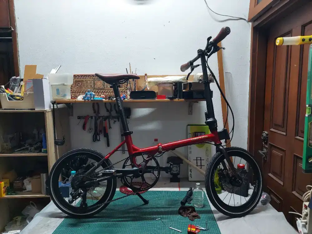 United black horse 16 mulus