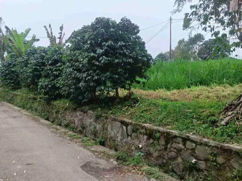 Tanah kebun pangalengan pinggir jalan desa