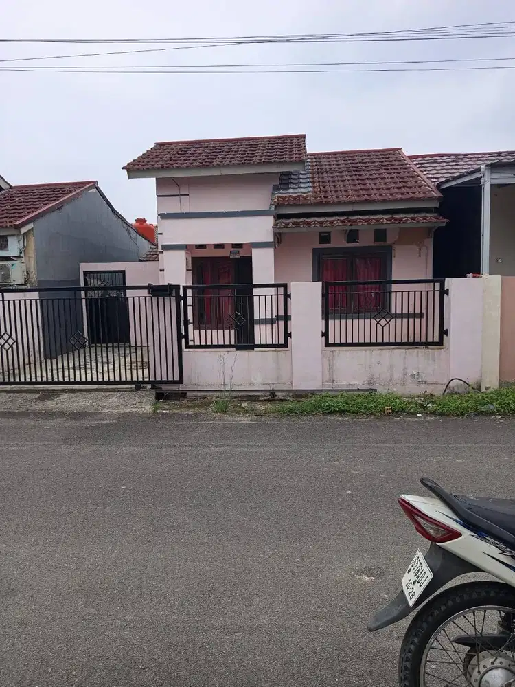 Disewakan rumah palem borang Risedence