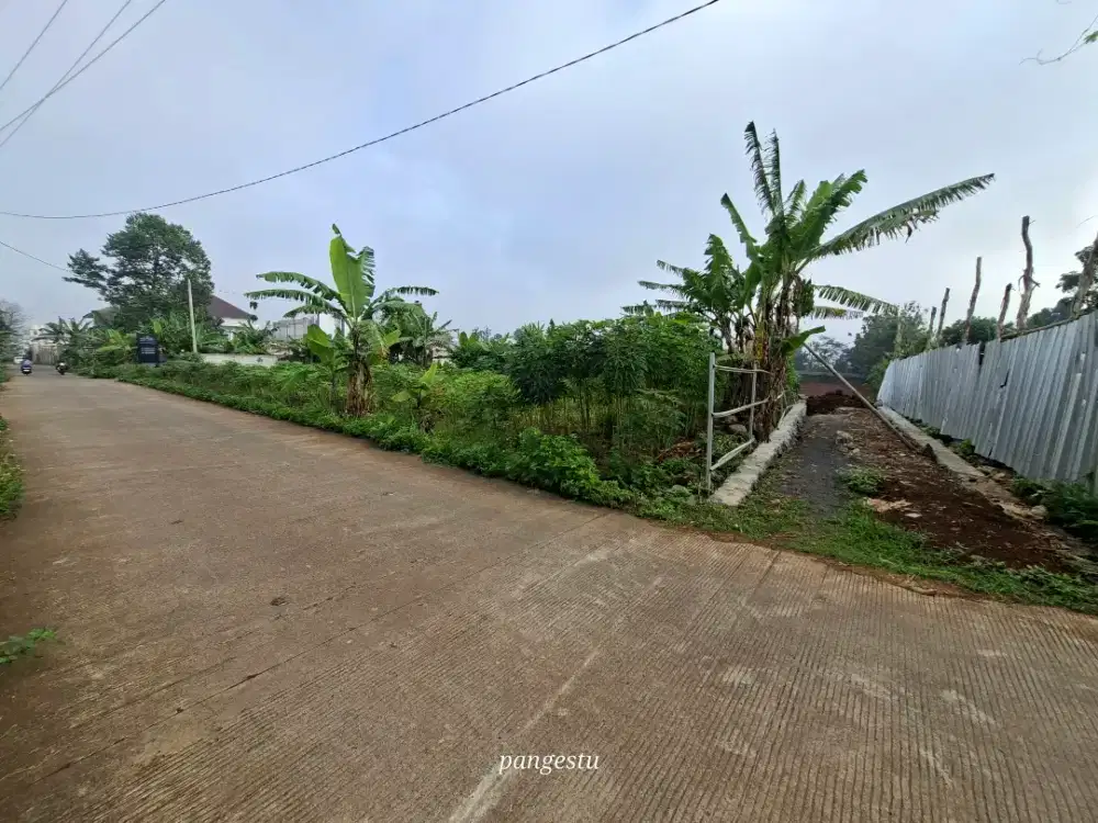 Tanah dekat kampus undian. Mulawarman timur luas 170