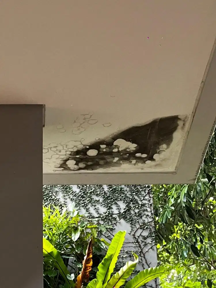 Dicari Tukang Memperbaiki Plafond