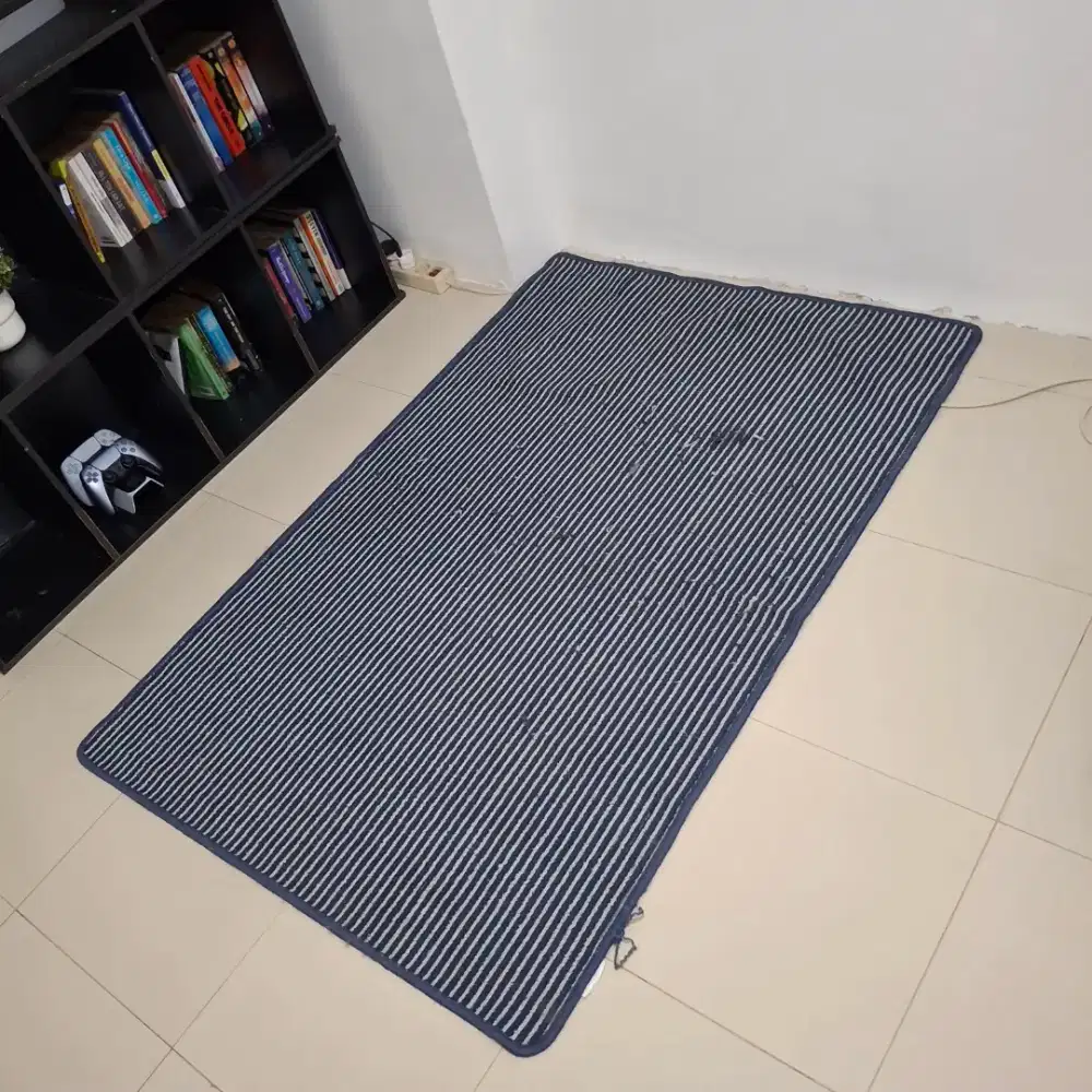 Karpet Biru Garis