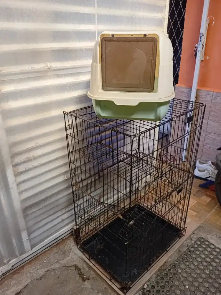 Kandang kucing & box eek