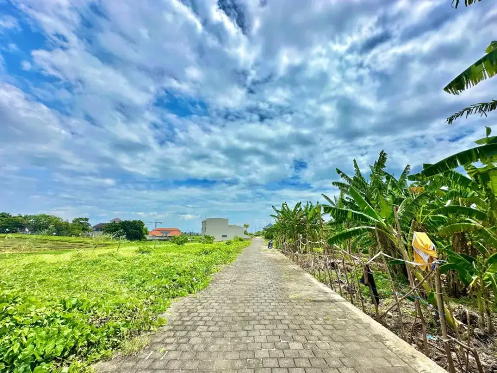 LAHAN PREMIUM STATUS SEWA DI PUSAT CANGGU