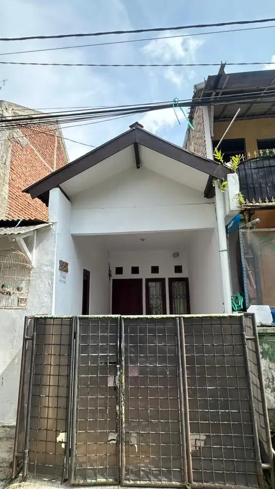 Rumah disewakan