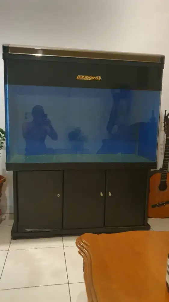 Aquarium Bekas Mulus