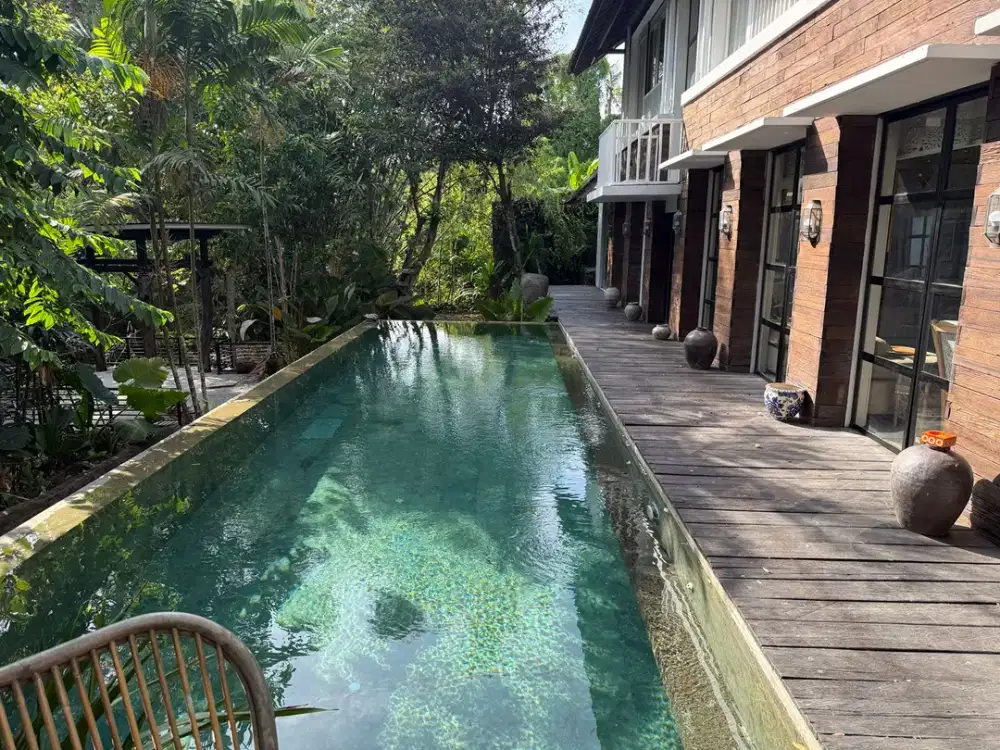 Freehold - Luxury Freehold Riverside Villa with Infinity Pool near Sanur, Bali