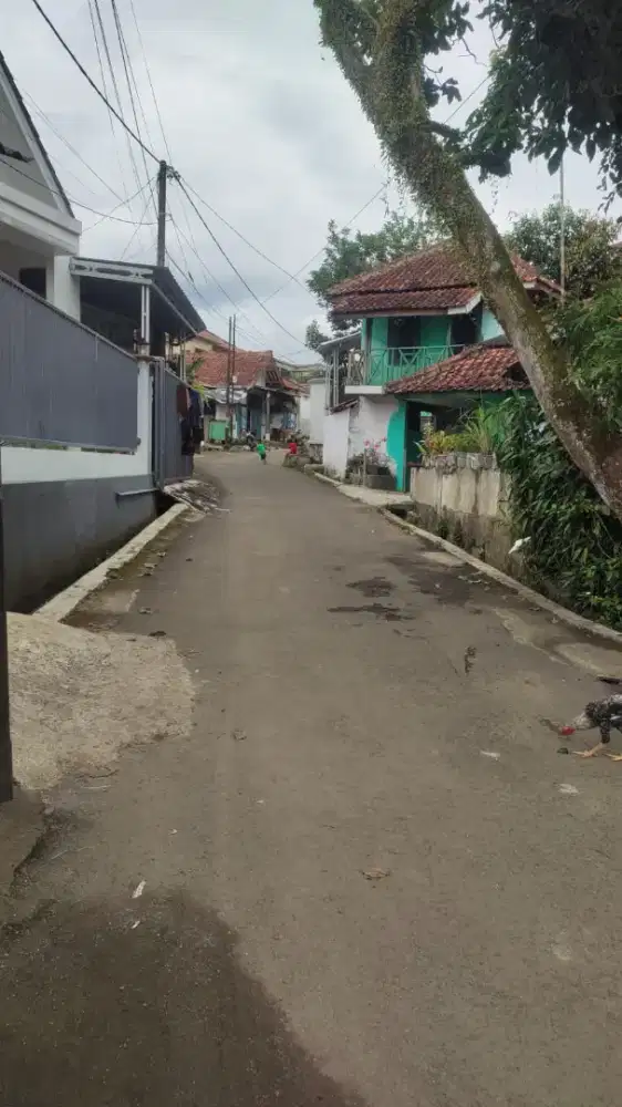 Di cari wanita untuk jadi ART