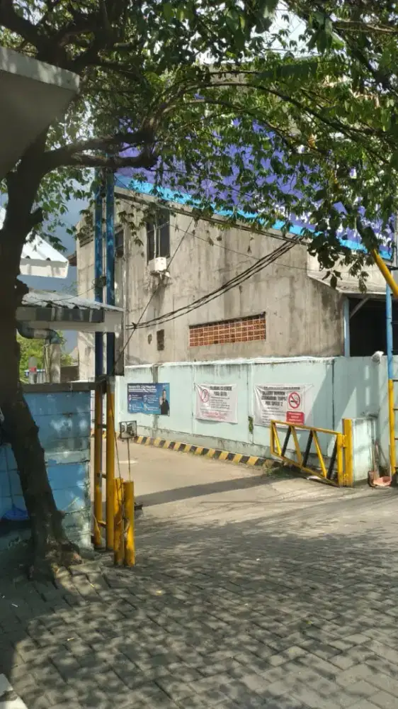 Lowongan taxi bandara