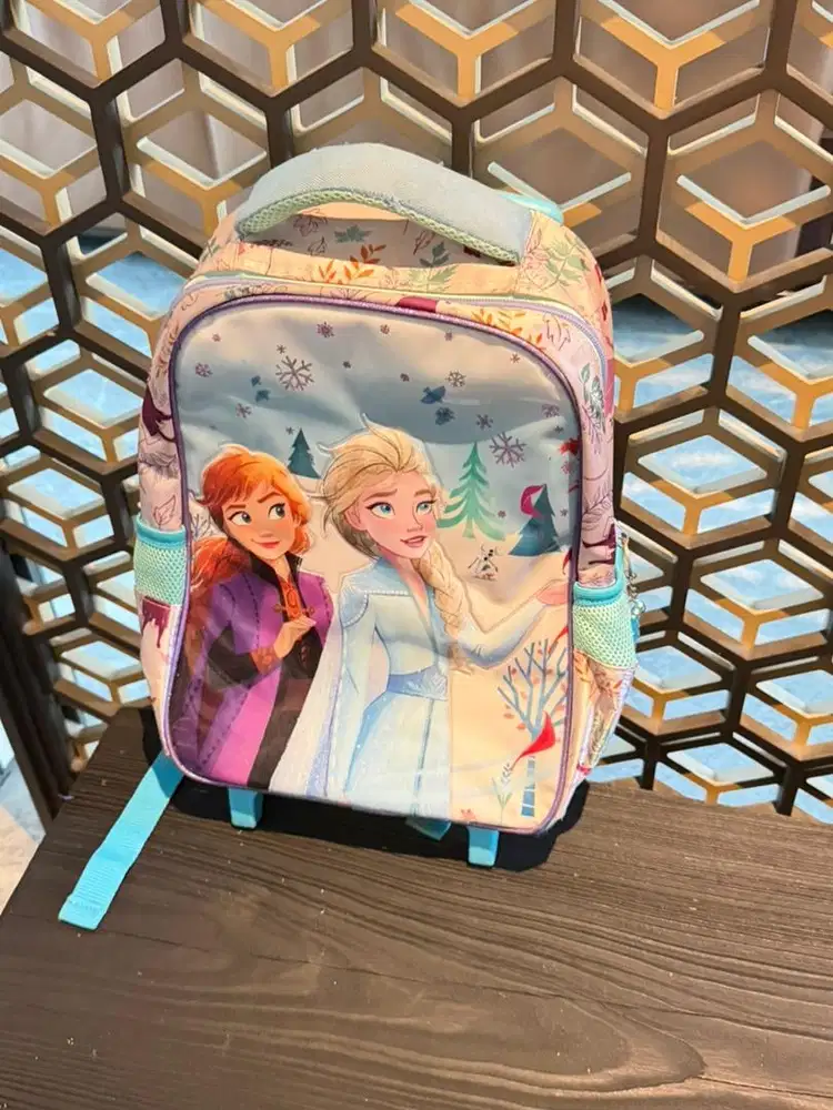 Frozen Trolley Tas Anak