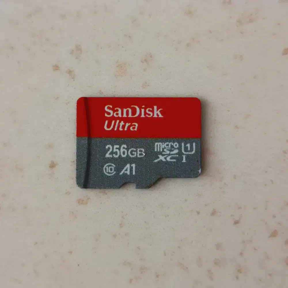 Kartu memori SD card 256GB