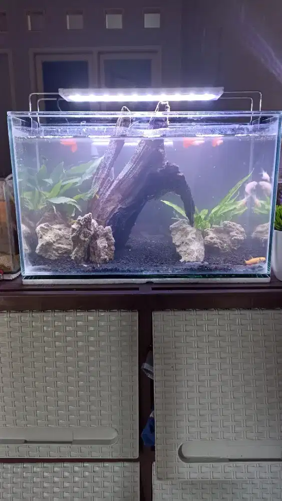 Aquarium aquascape fullset