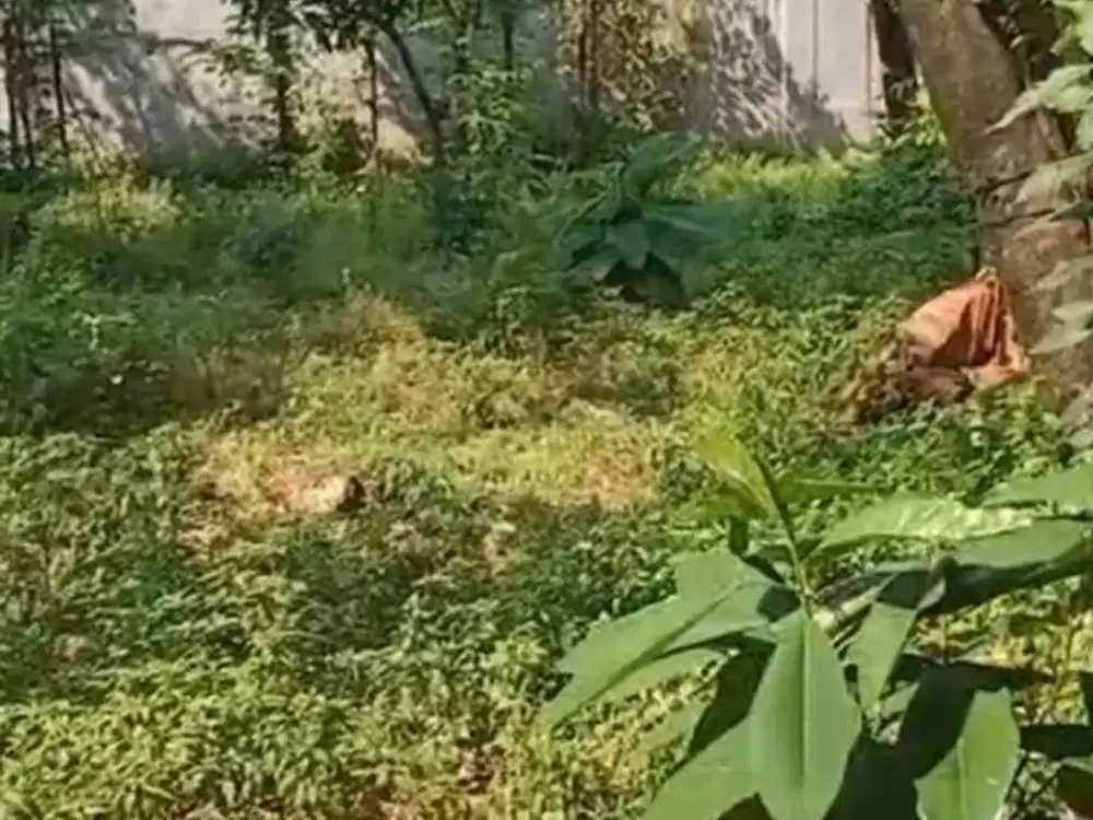 Jual Tanah Komersial dekat Universitas Budi Luhur Kreo