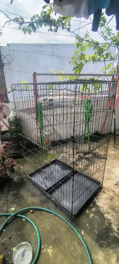 Kandang tingkat kucing