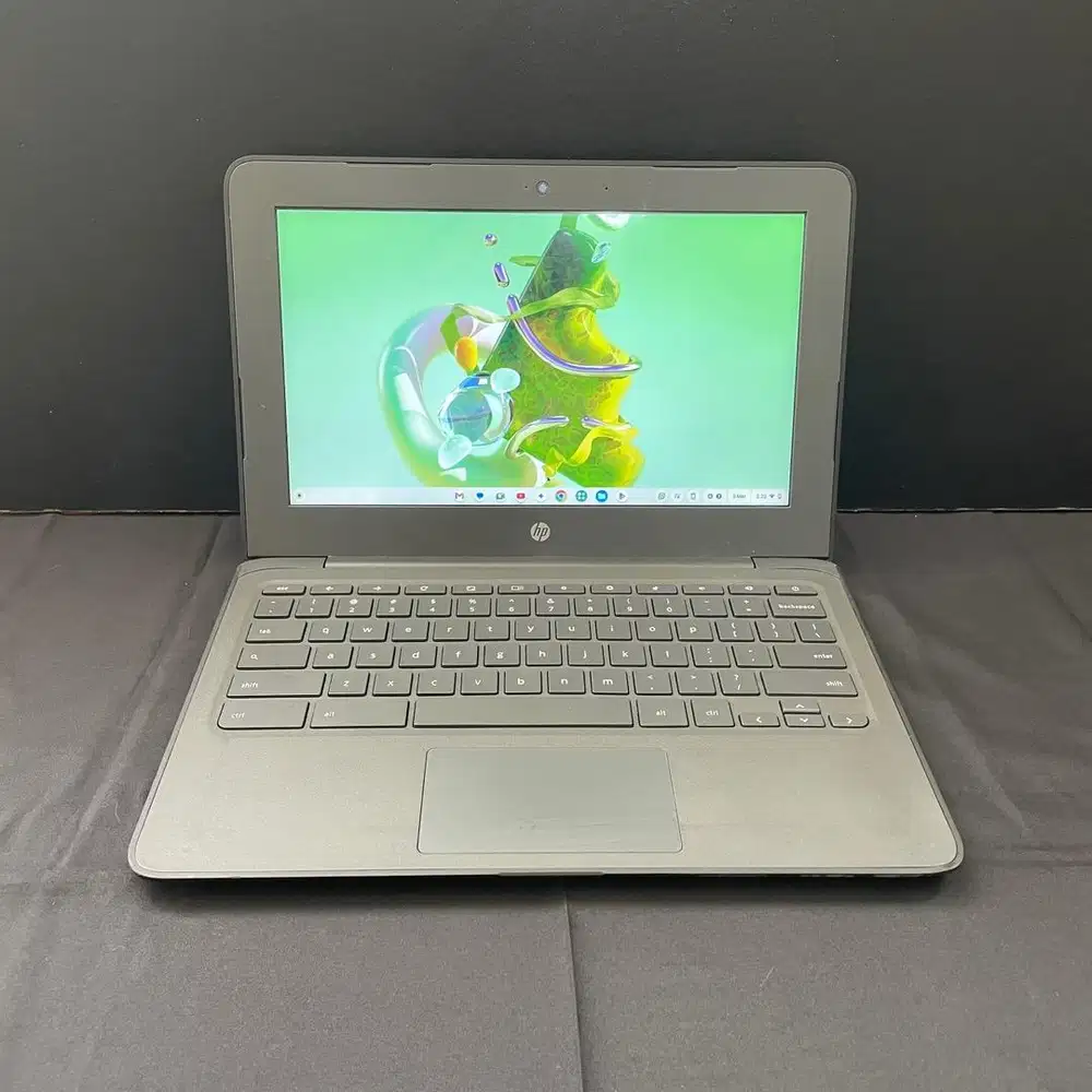 Dicari Customer Service Pria & Host Live Wanita