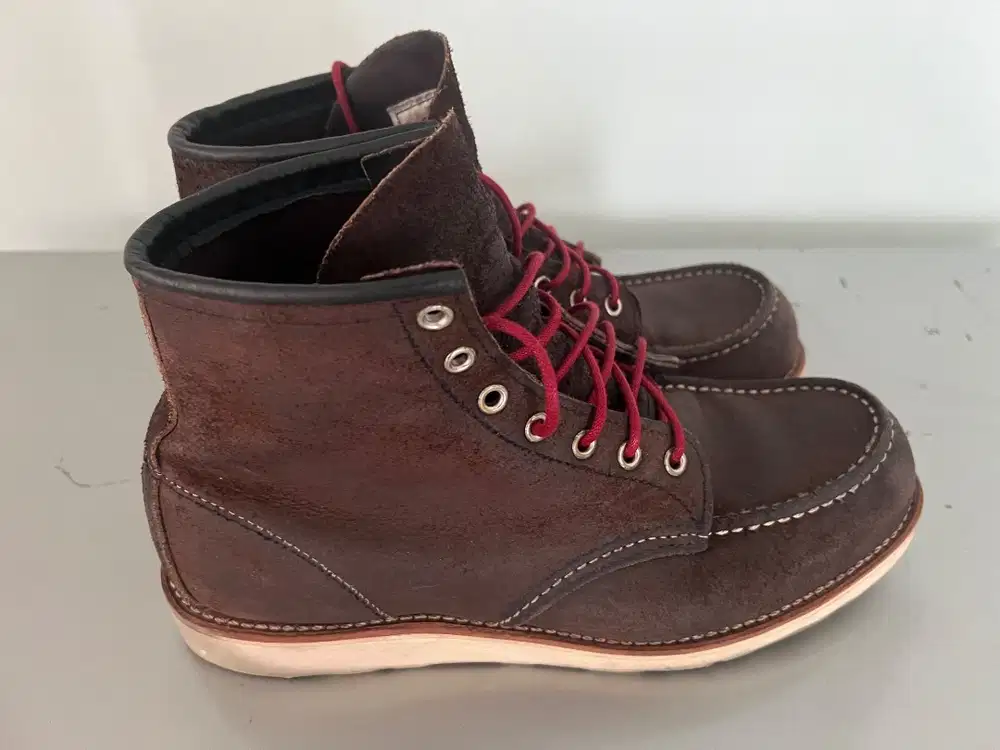 Red Wing Redwing