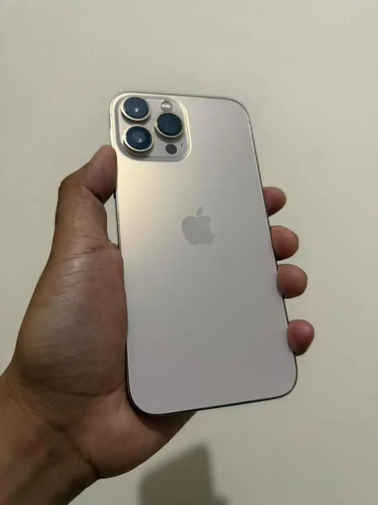 iphone 13 promax 128gb beacukai