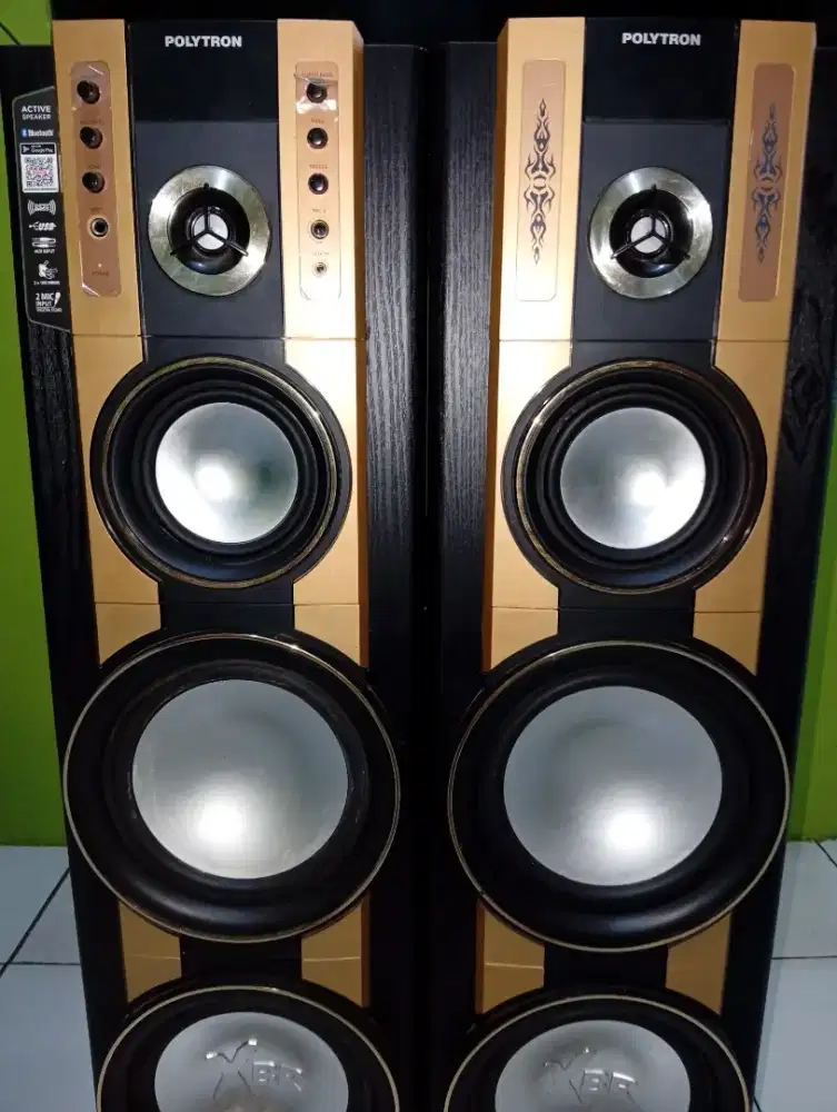 Speaker polytron XBR