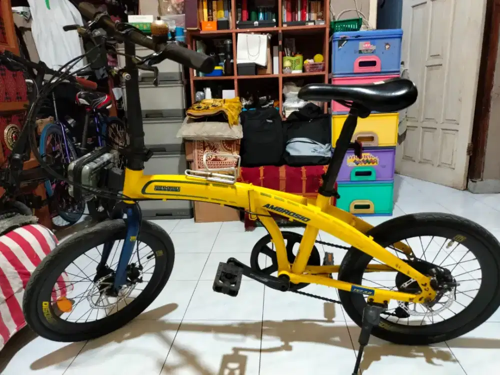 Seli 20 Ambrosio Yellow