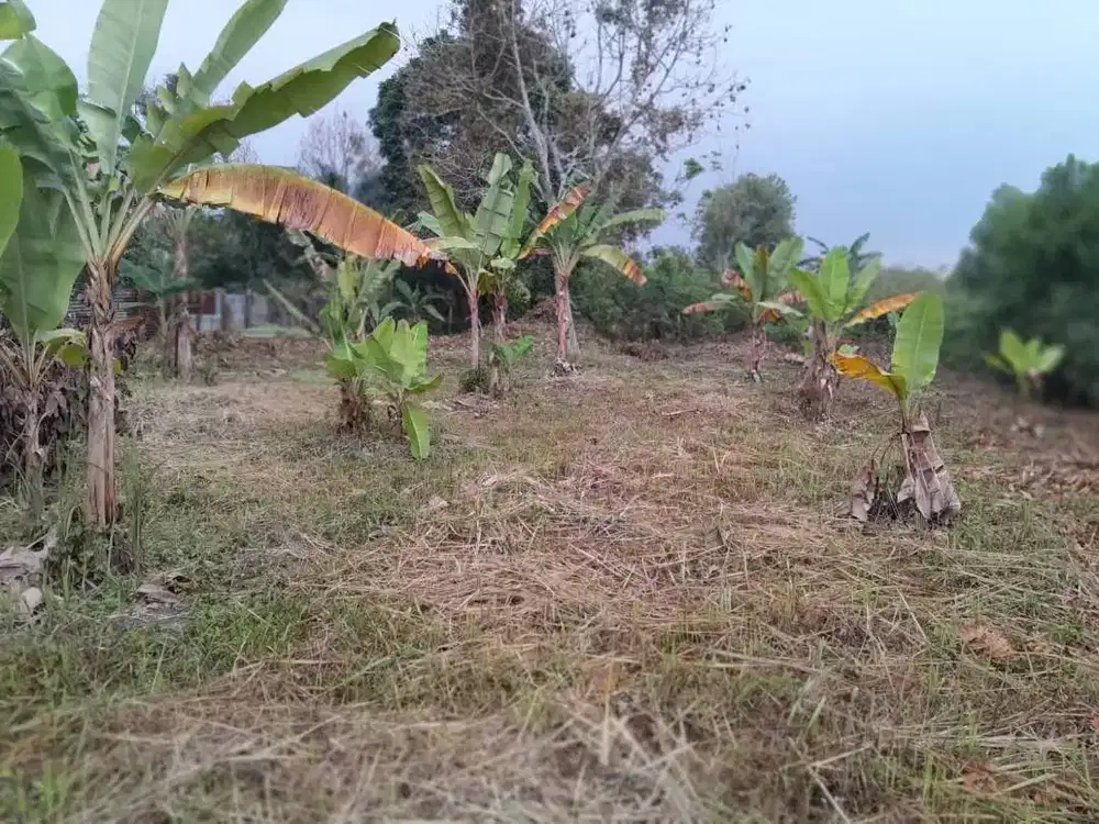 DiJual Tanah Dekat Perumahan UNRI