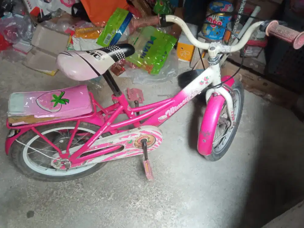 Sepeda anak perempuan