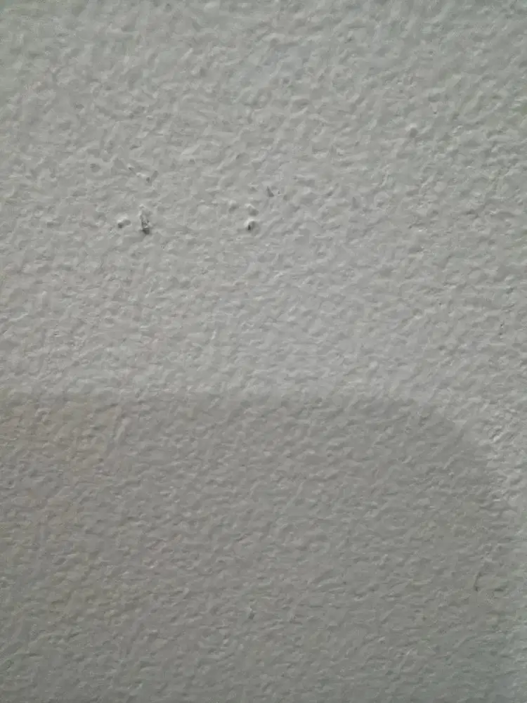 Dicari yang bersedia namanya dipinjam