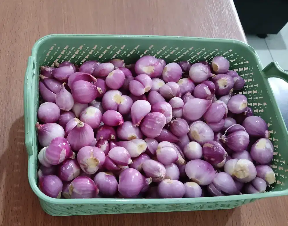 Pengupas bawang merah+putih