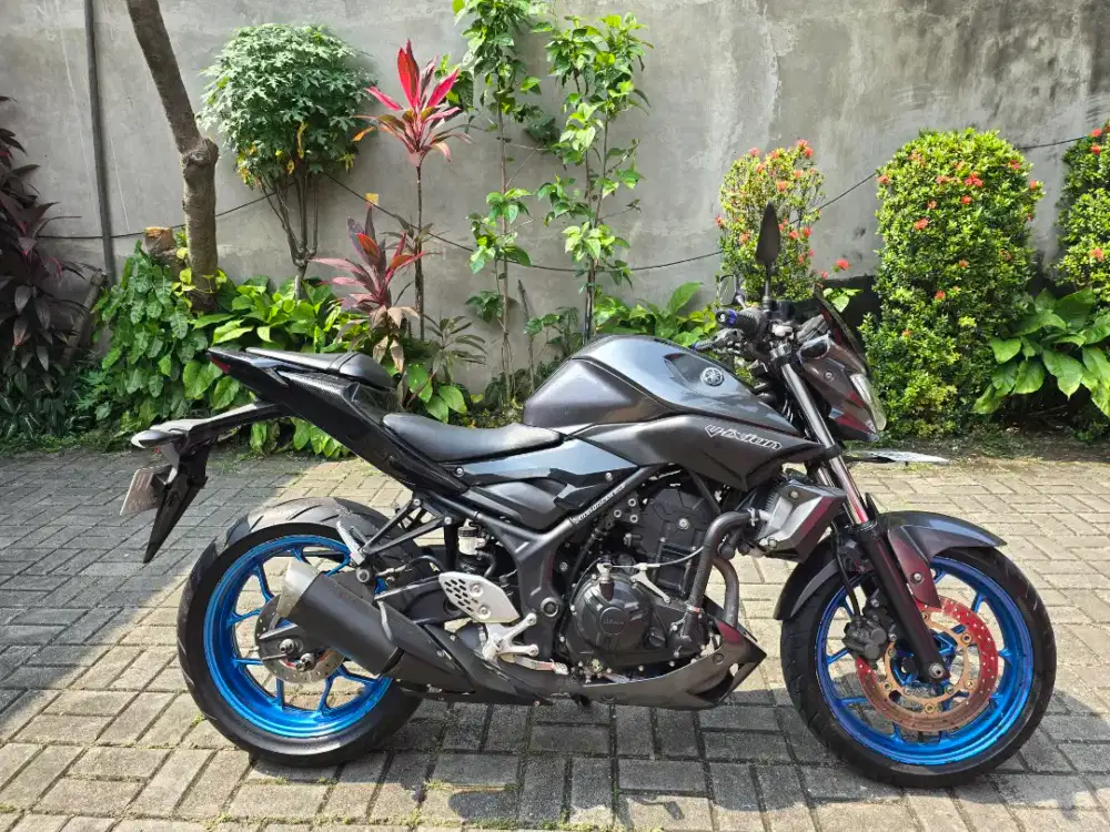 Yamaha MT25 MULUS