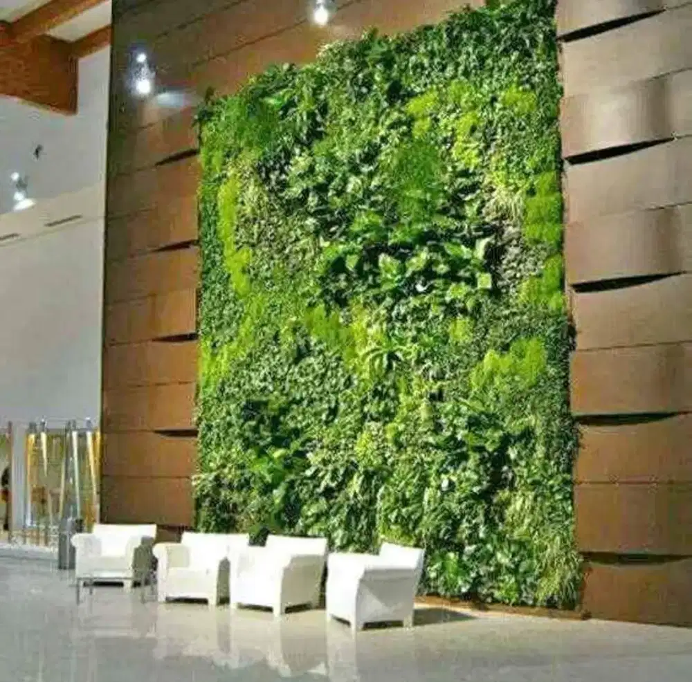 Taman vertikal murah