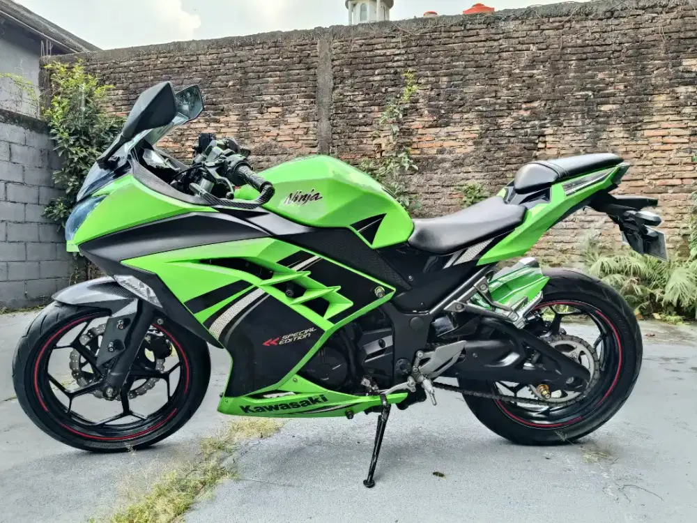 Kawasaki Ninja 250 Fi SE 2013