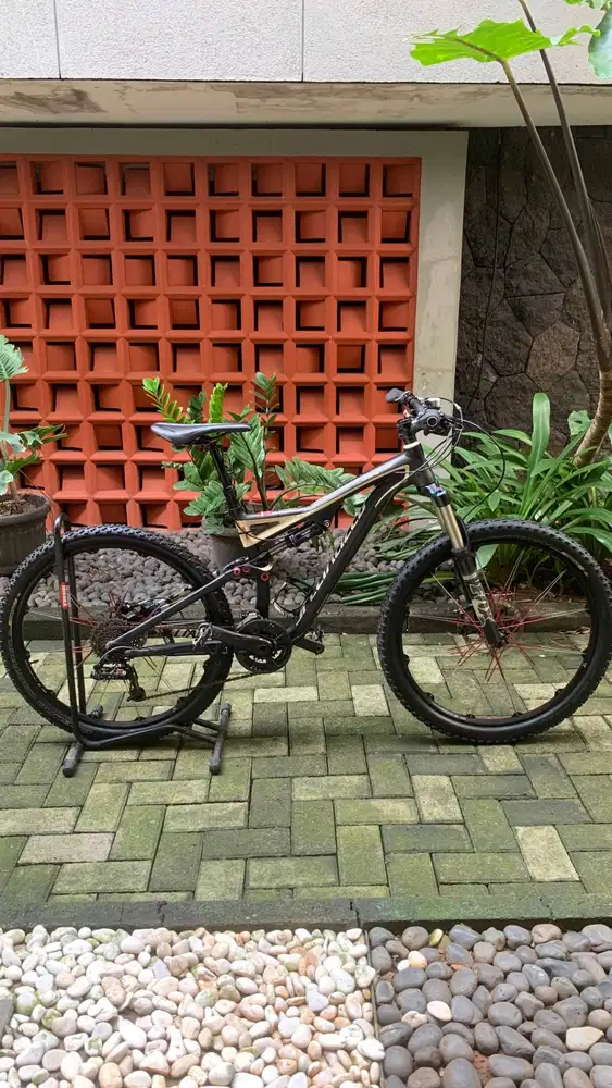 Specialized Stumpjumper Elite