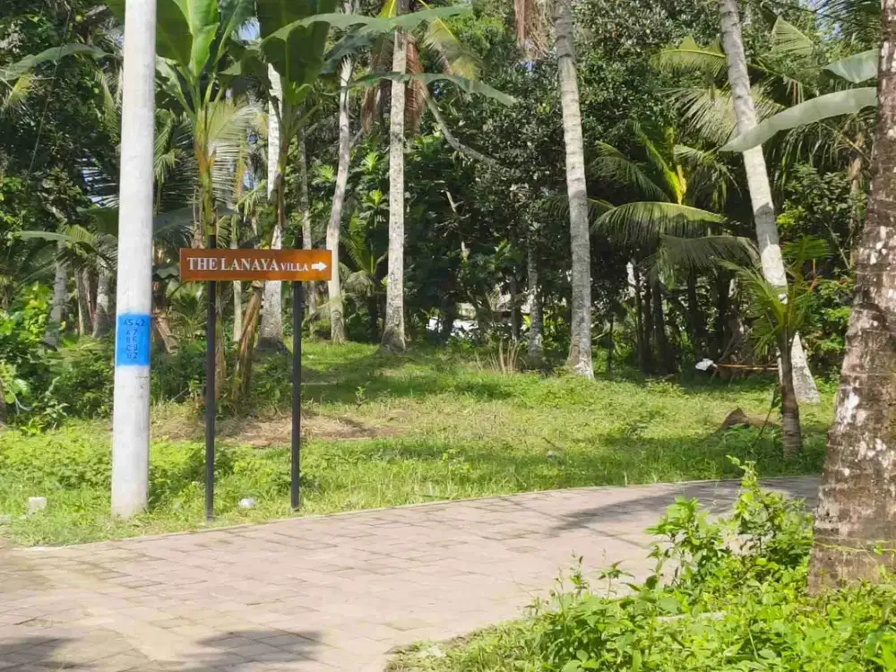 Tanah View Jungle Lingkungan Villa Punggul Abiansemal Badung Bali