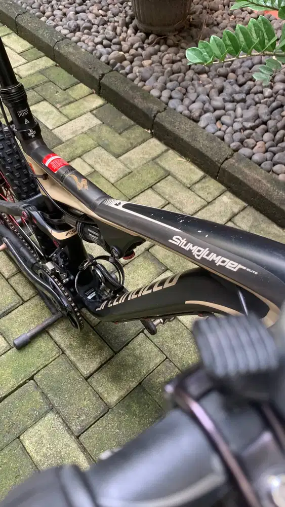 Specialized Stumpjumper Elite