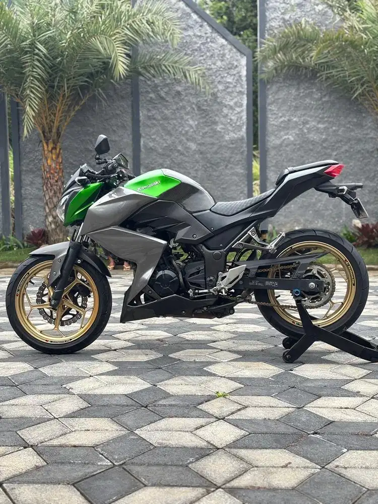 Kawasaki Z250 ABS SE thn 2016 Hijau Koko Motor