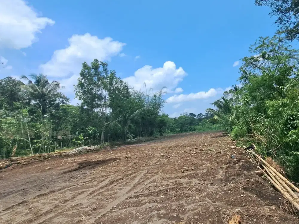 Akses Mudah Tanah 1 Jt-an Di Jogja utara