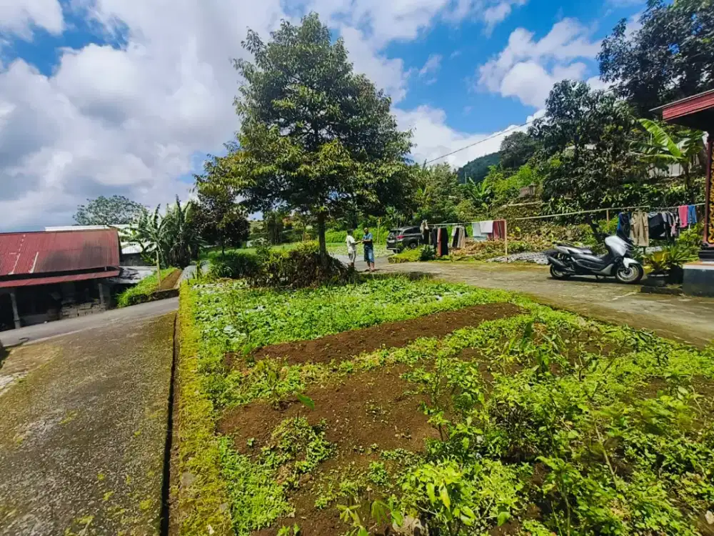 Dijual tanah segorogunung kemuning