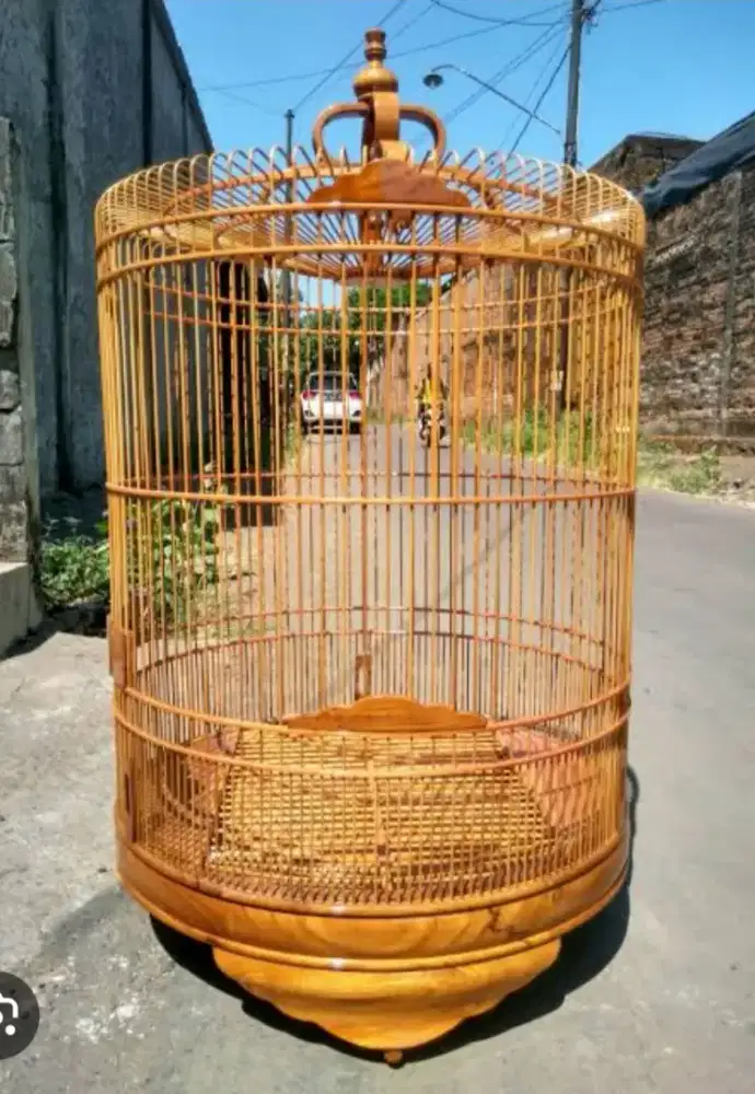 Di cari sangkar murai no 1 atau 2