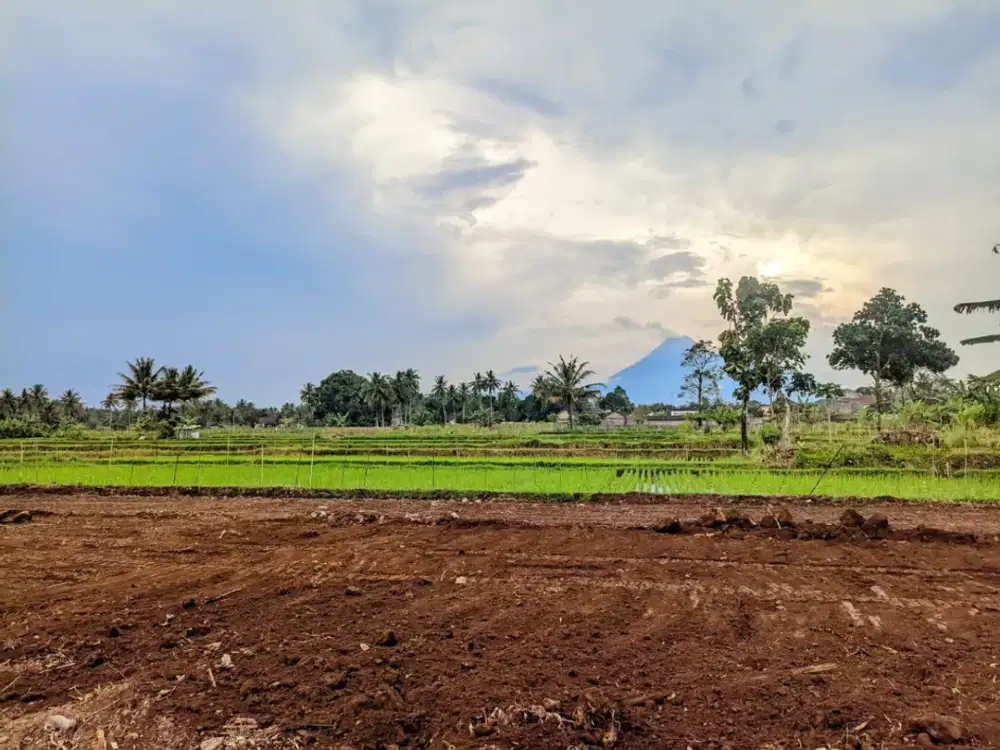 Tanah Dijual Di Mlati Sleman, View Sawah Dan Gunung