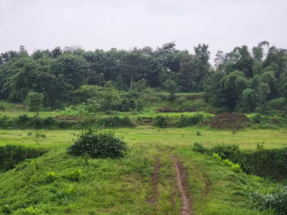 Tanah 80 Jutaan Kota Malang Bukan Kabupaten